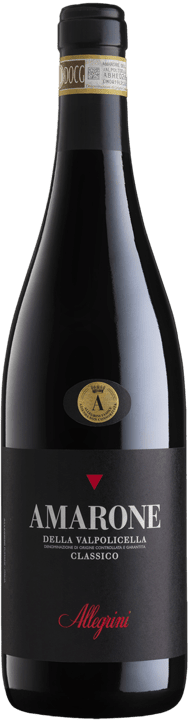 Allegrini Amarone della Valpolicella Classico Rot 2020 150cl