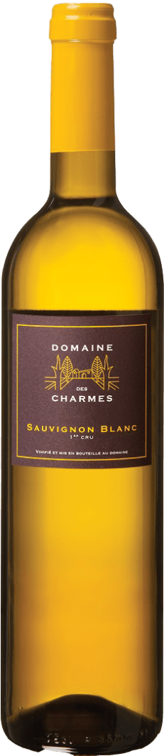 Domaine des Charmes Sauvignon Blanc 1er Cru Blancs 2023 75cl