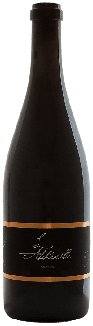 Cave l'Alchémille Syrah Rouges 2020 75cl