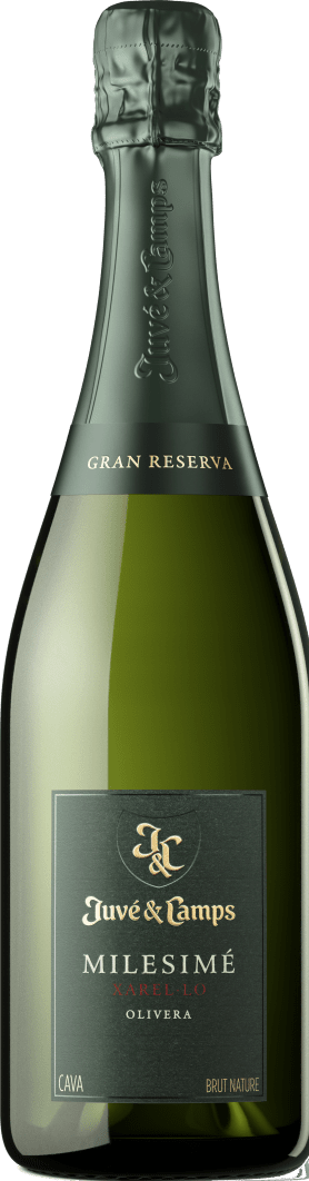 Juvé & Camps Milesimé Xarel.lo Gran Reserva - Brut Nature Brut Nature 2017 75cl