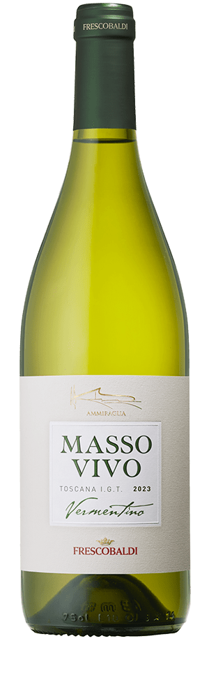 Frescobaldi Masso Vivo - Vermentino Weiß 2023 75cl