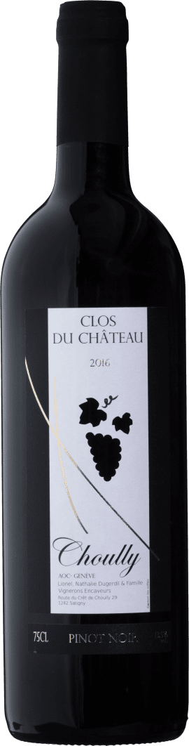 Domaine du Clos du Château Pinot Noir Rot 2017 75cl