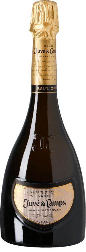 Juvé & Camps Gran Reserva - Brut Brut Millésimé 2017 75cl